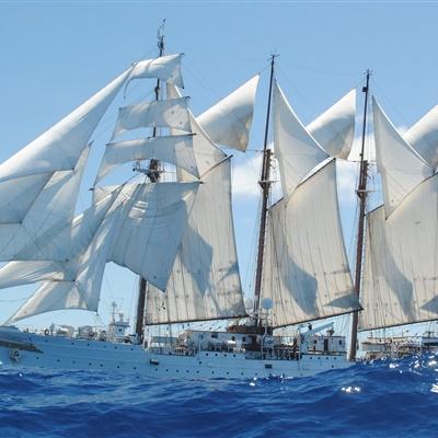 大发棋牌方网址入口